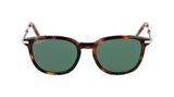 SF101S 214 52 Salvatore Ferragamo Güneş Gözlüğü