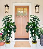 Yapay Çiçek Monstera Yeşil Deve Tabanı 3Katlı 135cm 54Yaprak Gold Kemerli Beyaz Saksıda Yapay Bitki