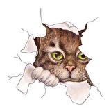 Kedi Oto araba Sticker yapıştırması 19cm renkli