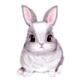 Sevimli tavşan Araba Oto Sticker etiket 16cm  model1