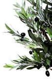 Yapay Zeytin Ağacı 120cm Tek Gövdeli Doğal Gerçek Görünümlü Yapay Ağaç