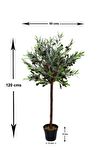 Yapay Zeytin Ağacı 120cm Tek Gövdeli Doğal Gerçek Görünümlü Yapay Ağaç