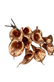 Yapay Çiçek Bronz Renk Gala Eva Malzeme Cala Flower 8li Demet