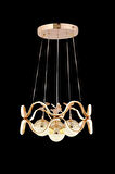 Modern 4 Lü Ledli Gold 3 Renk Sarkıt Avize