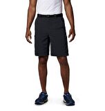 Columbia AM4084 Silver Ridge Cargo Short Kargo Şort