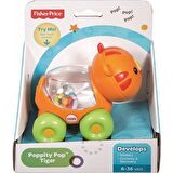 Fisher Price Poppity Araçlar Aslan CMV97 BGX29 Lisanslı Ürün