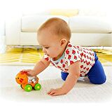 Fisher Price Poppity Araçlar Aslan CMV97 BGX29 Lisanslı Ürün