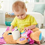 Fisher Price Eğtici Köpekçiğin Kız Kardeşi Türkçe FPP83 Lisanslı