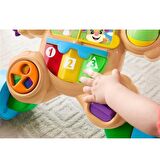 Fisher Price Eğitici Köpekçik Yürüteç Türkçe FTG10 Lisanslı Ürün