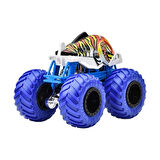 Hot Wheels Monster Trucks 1:64 Arabalar PIRAN-AHHHHH  FYJ44-HTM56