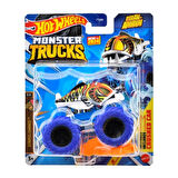 Hot Wheels Monster Trucks 1:64 Arabalar PIRAN-AHHHHH  FYJ44-HTM56