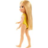 Barbie Chelsea Tatilde Bebekleri GLN70