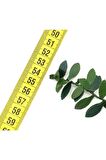 7 Metre Telli Taç Sarmaşık Minik Yaprak (1 cm ) Şerit Yapay Çiçek Doğalgaz Borusu Süsü