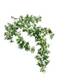 Yapay Çiçek Sarkan Çiçek Yeşil Beyaz Fare Kulağı Şimşir Yapay Sarmaşık  60*30cm UV Katkılı Güneşe Dayanıklı