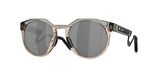 Oakley HSTN Metal DL Grey Ink w/ Prizm Black Erkek Gözlük 0OO9279-OAK.927905