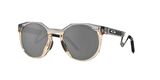 Oakley HSTN Metal DL Grey Ink w/ Prizm Black Erkek Gözlük 0OO9279-OAK.927905