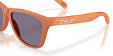 Oakley FROGSKINS Unisex Gözlük 0OO9013-OAK.M1