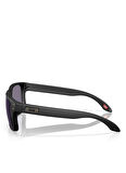 Oakley Siyah Erkek Güneş Gözlüğü 0OO950953950902