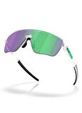 Oakley Erkek Güneş Gözlüğü 0OO941542941512