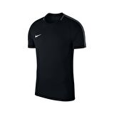 Nike Erkek T-shirt M Nk Dry Acdmy18 Top Ss 893693-010