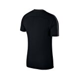 Nike Erkek T-shirt M Nk Dry Acdmy18 Top Ss 893693-010