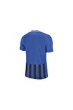 Nike Striped Division III Jsy 894081-463 Kısa Kol Forma