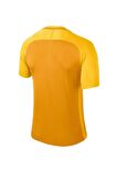 Nike Dry Trophy III Jsy 881483-739 Kısa Kol Forma