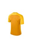 Nike Dry Trophy III Jsy 881483-739 Kısa Kol Forma