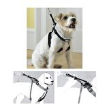 Pawise Training Harness Eğitim Tasması XS