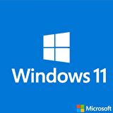 Windows OEM 11 Pro 64Bit Türkçe FQC-10556
