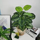 Yapay Çiçek Demet Difenbahya Sarı Çizgili 12Dal 55cm Salon Çiçeği Yapay Bitki