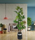 Yapay Ağaç Yelpaze Palmiye 4Katlı Fanpalm 32 Yaprak Gümüş Kemerli Siyah Saksıda 170*65cm