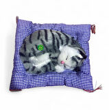 23 cm Sesli Yastıklı Uyuyan Kedi 2603
