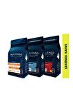 Moliendo Popüler Filtre Kahve Avantaj Paketi ( Çekirdek Kahve ) 3x250 G.