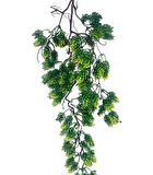 Yapay Çiçek Sarkan Doğal Dallı Kozalak Çiçeği 70cm Yapay Sarmaşık Yeşil 