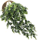 Yapay Çiçek Sarkan Şimşir Okaliptus Jumbo Boy 75*35cm Yapay Sarmaşık