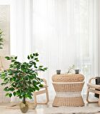 Yapay Ağaç Benjamin 3 Gövdeli Çalılı 100x60cm Keten Sarılı Siyah Plastik Saksılı