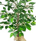 Yapay Ağaç Benjamin 3 Gövdeli Çalılı 100x60cm Keten Sarılı Siyah Plastik Saksılı