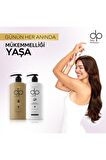 , Daıly Perfection 1 Adet Çam Terebentin Şampuan 500 ml 1 Adet Saç Kremi Hindistan Cevizi(500 ML)