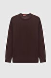 Ds Damat Regular Fit Kahverengi Tüylenme Yapmayan Bisiklet Yaka Triko Kazak 5HF06ORT12004