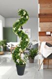 Yapay Ağaç Doğal Papatyalı Spiral Şimşir Ağacı 160cm Bambu Saplı Salon Bitkisi
