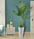 Yapay Ağaç Areka Ağacı Beyaz Uzun Kumsal Vazoda Palmiye Ağacı Yapay Areka 190cm