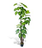 Yapay Çiçek Difenbahya Sarı Yeşil 3Katlı 190cm 54Yaprak Siyah Plastik Saksıda Yapay Bitki