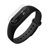 Bufalo Xiaomi Mi Band 2 FlexiGlass Nano Ekran Koruyucu