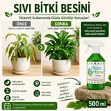 Planthome Powermix Genel Sıvı Bitki Besini