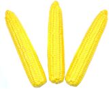 Yapay Sebze Mısır Corn 1adet 14*5cm