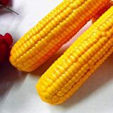 Yapay Sebze Mısır Corn 1adet 14*5cm