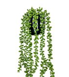 Yapay Çiçek Saksıda Sarkan String 6 Dallı 55cm Sarkan Çiçek