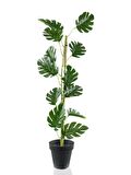 Yapay Çiçek Sarmaşık  Monstera Salon Bitkisi Siyah Saksılı 80cm 12 Yapraklı