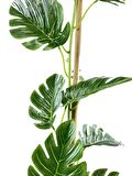 Yapay Çiçek Sarmaşık  Monstera Salon Bitkisi Siyah Saksılı 80cm 12 Yapraklı